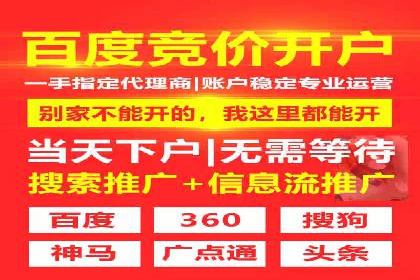 案例研究：如何通过竞价广告实现精准营销